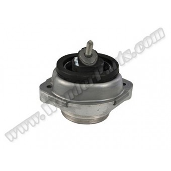 Motor Kulağı X5:E53 [M62 N62]